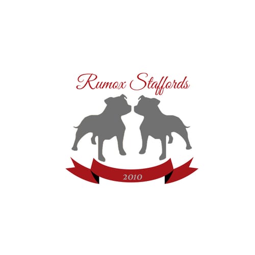 Rumox Logo